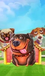 The Dog House